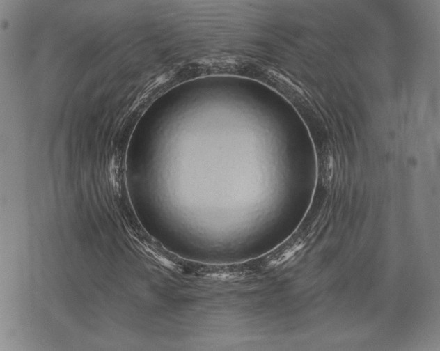 X0000072941010200607211056