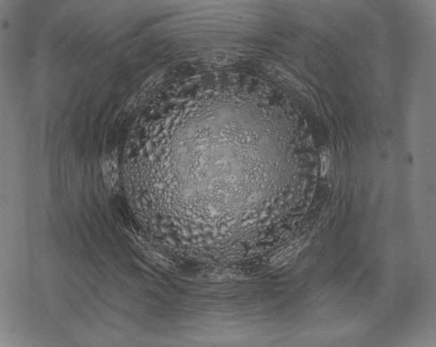 X0000072941011200607211056