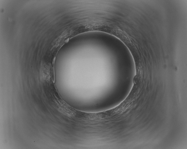 X0000072941012200607211056