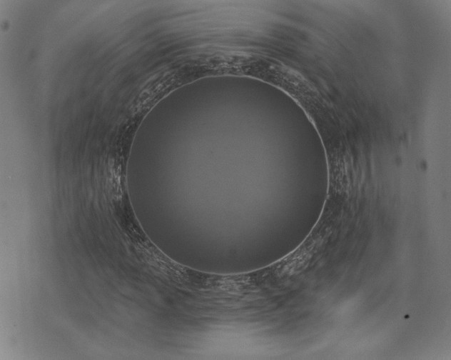 X0000072941013200607211056