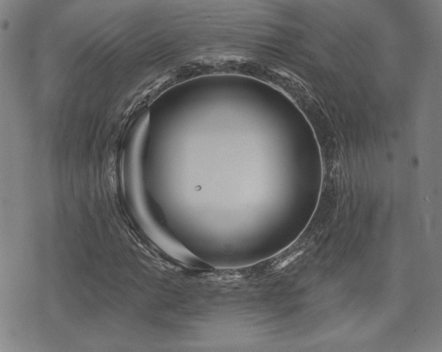 X0000072941014200607211056