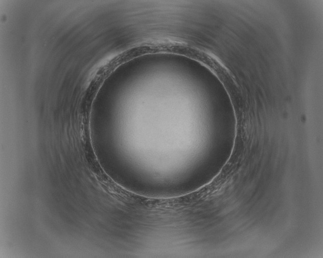 X0000072941016200607211056