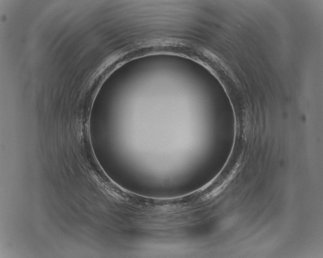 X0000072941017200607211056