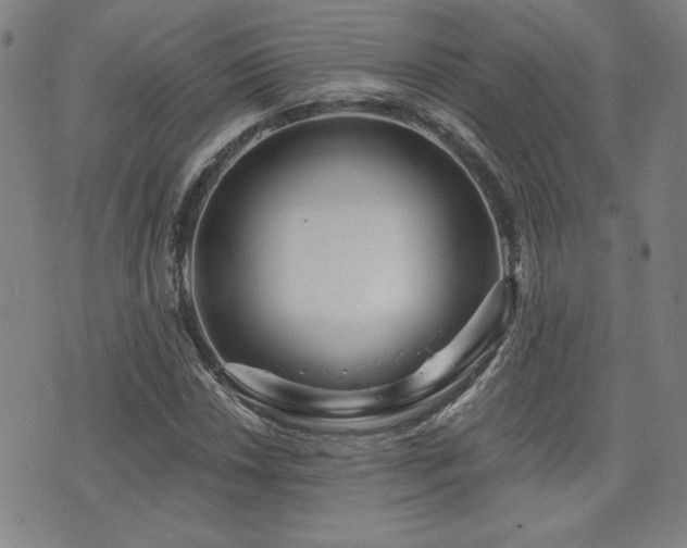 X0000072941018200607211056