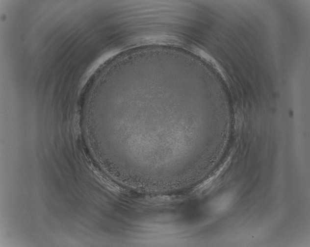 X0000072941019200607211056