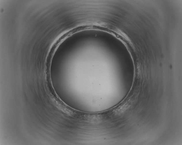 X0000072941020200607211056