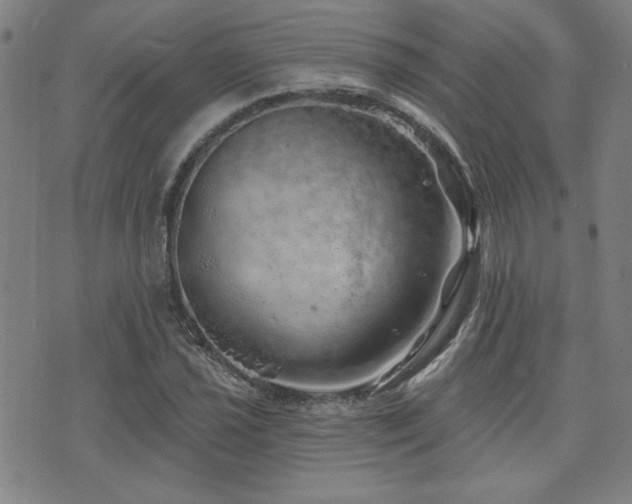 X0000072941021200607211056