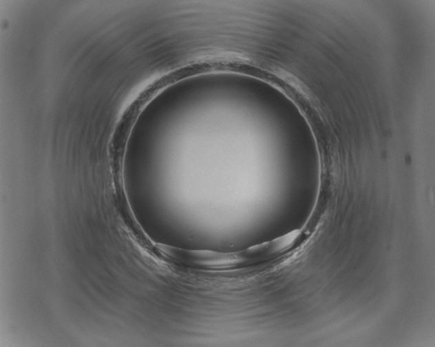 X0000072941022200607211056