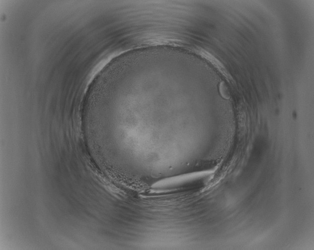 X0000072941023200607211056