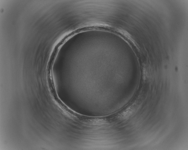 X0000072941024200607211056