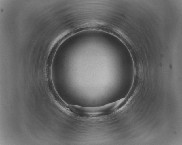 X0000072941026200607211056