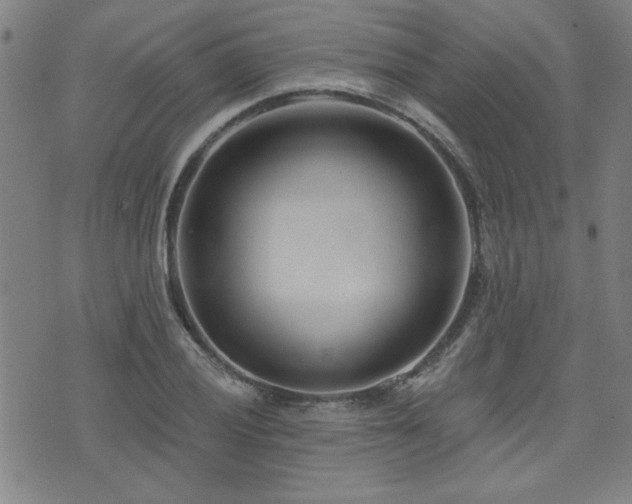 X0000072941028200607211056