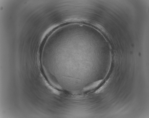 X0000072941030200607211056