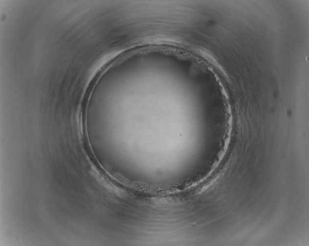 X0000072941032200607211056