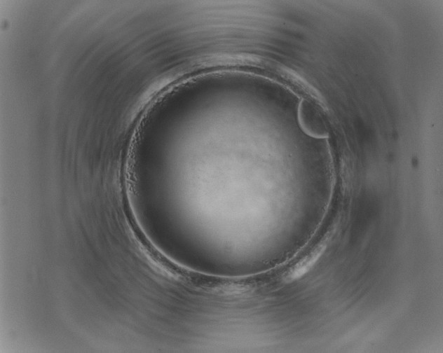 X0000072941033200607211056