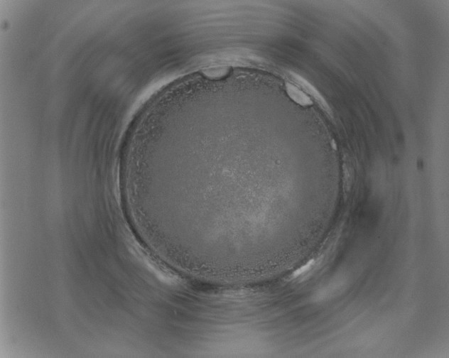 X0000072941035200607211056