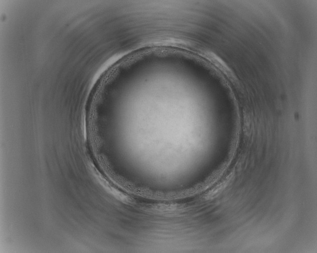 X0000072941036200607211056