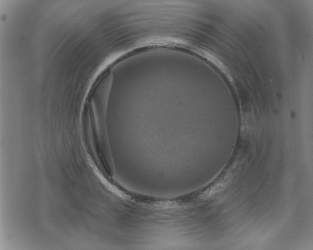 X0000072941037200607211056