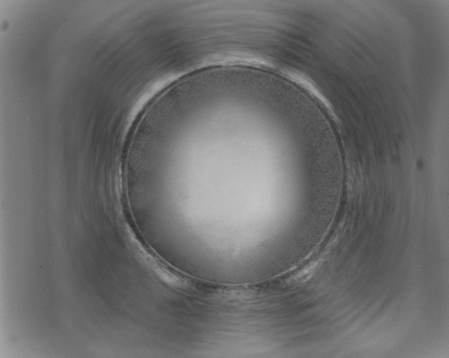 X0000072941040200607211056