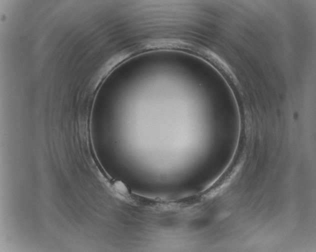 X0000072941041200607211056