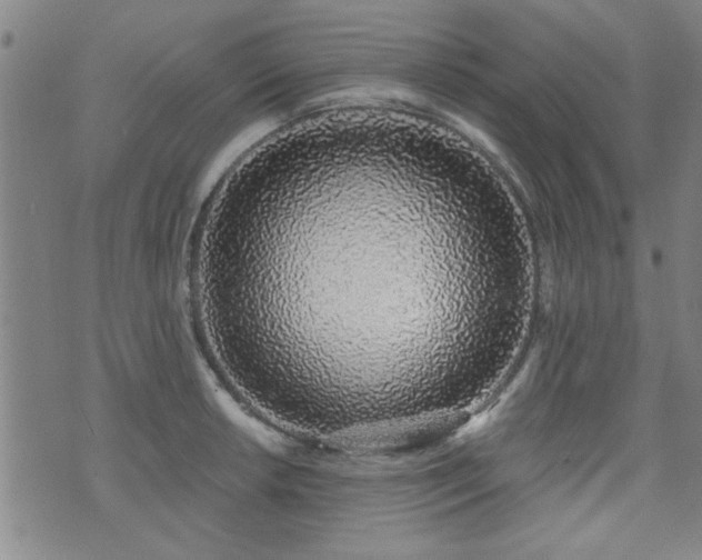 X0000072941042200607211057