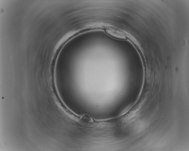 X0000072941045200607211057