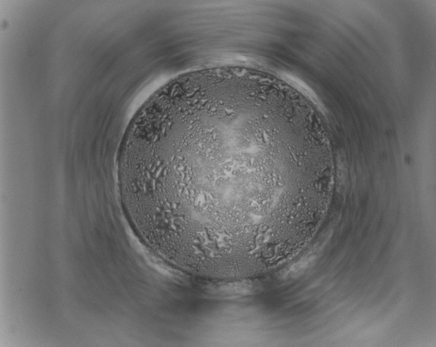 X0000072941047200607211057