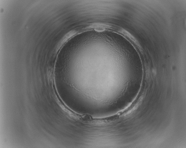 X0000072941049200607211057