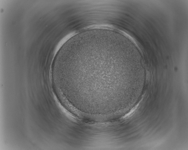 X0000072941050200607211057