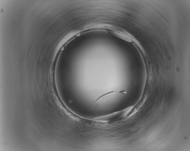 X0000072941053200607211057