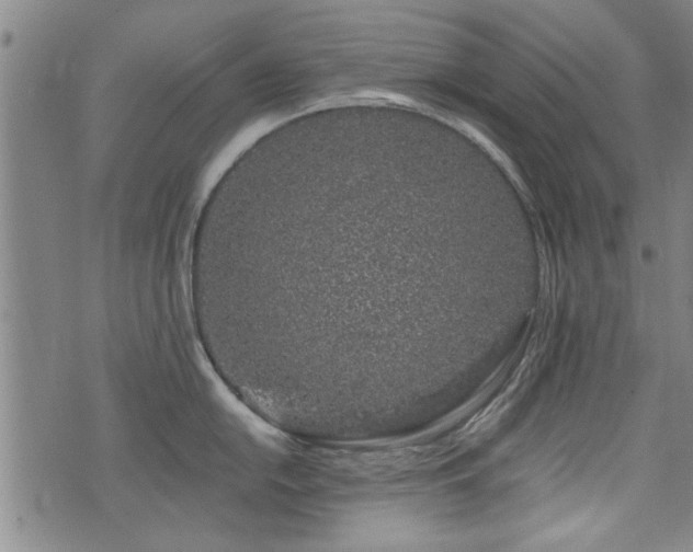 X0000072941054200607211057