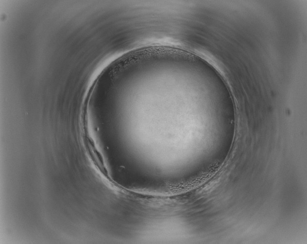 X0000072941056200607211057