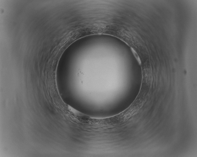 X0000072941057200607211056