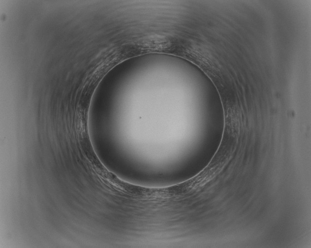 X0000072941058200607211056