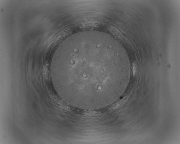 X0000072941059200607211056