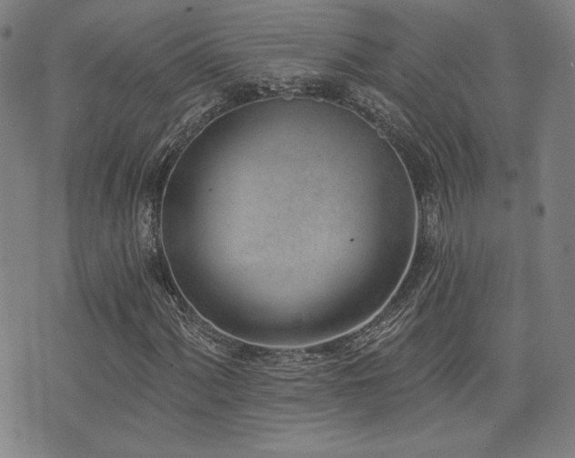 X0000072941060200607211056