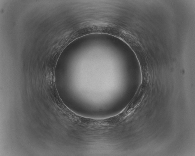 X0000072941061200607211056