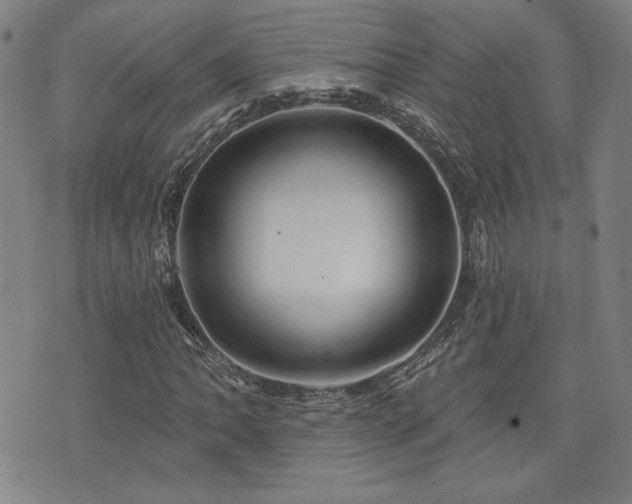 X0000072941062200607211056