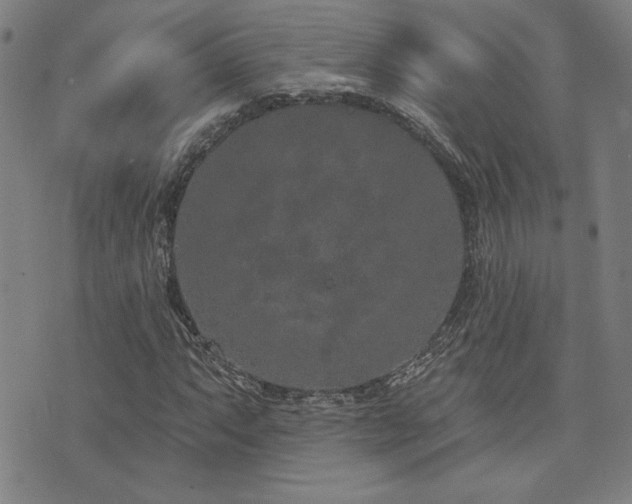 X0000072941063200607211056