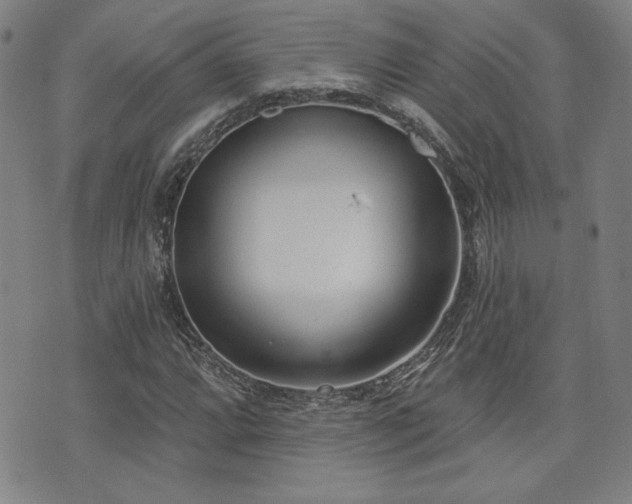 X0000072941064200607211056