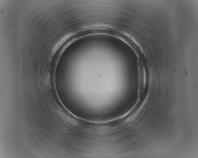 X0000072941066200607211056