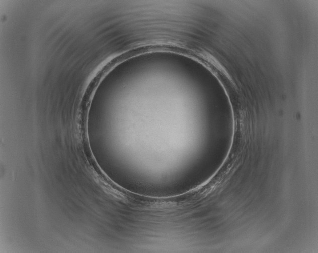 X0000072941068200607211056