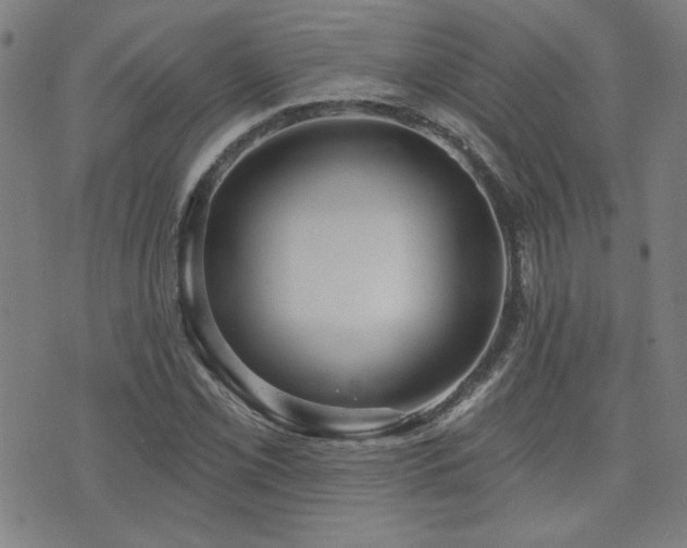 X0000072941069200607211056