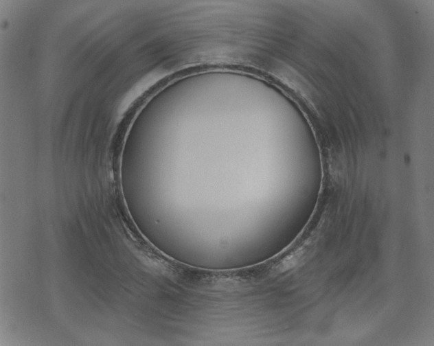 X0000072941070200607211056