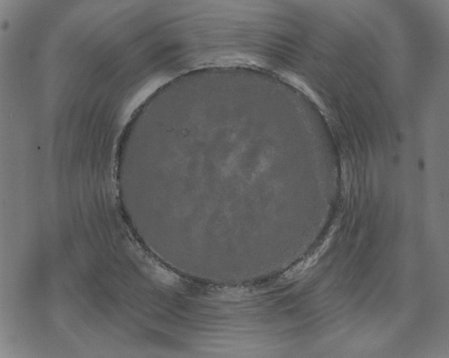 X0000072941071200607211056