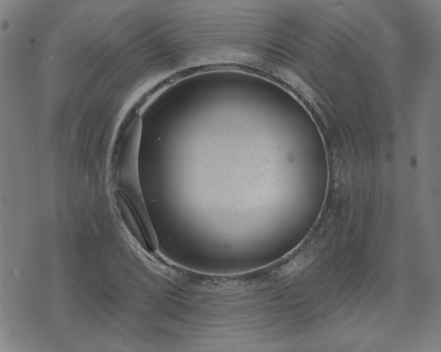 X0000072941072200607211056