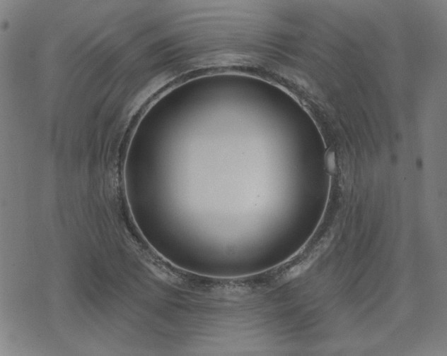 X0000072941073200607211056