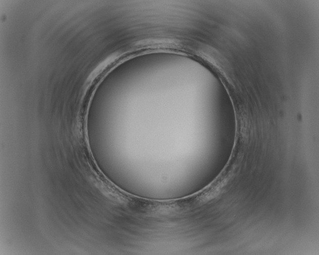 X0000072941074200607211056