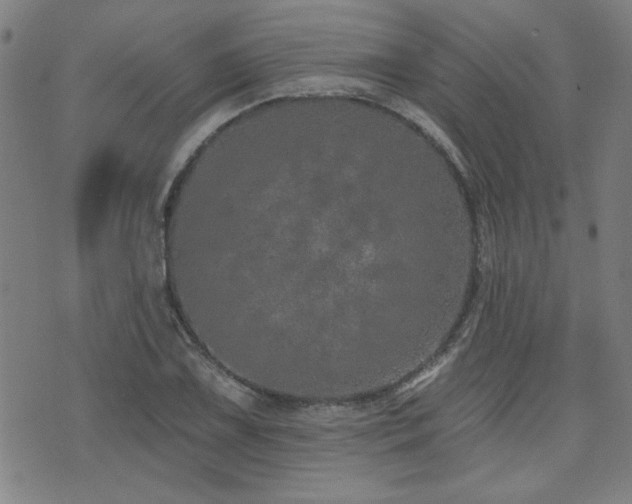 X0000072941075200607211056