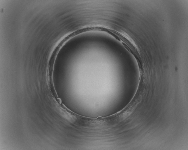 X0000072941076200607211056